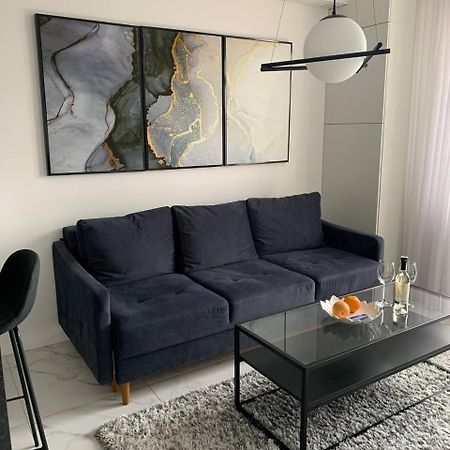 New Modern Apartment Uzjhorod Eksteriør billede
