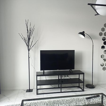 New Modern Apartment Uzjhorod Eksteriør billede
