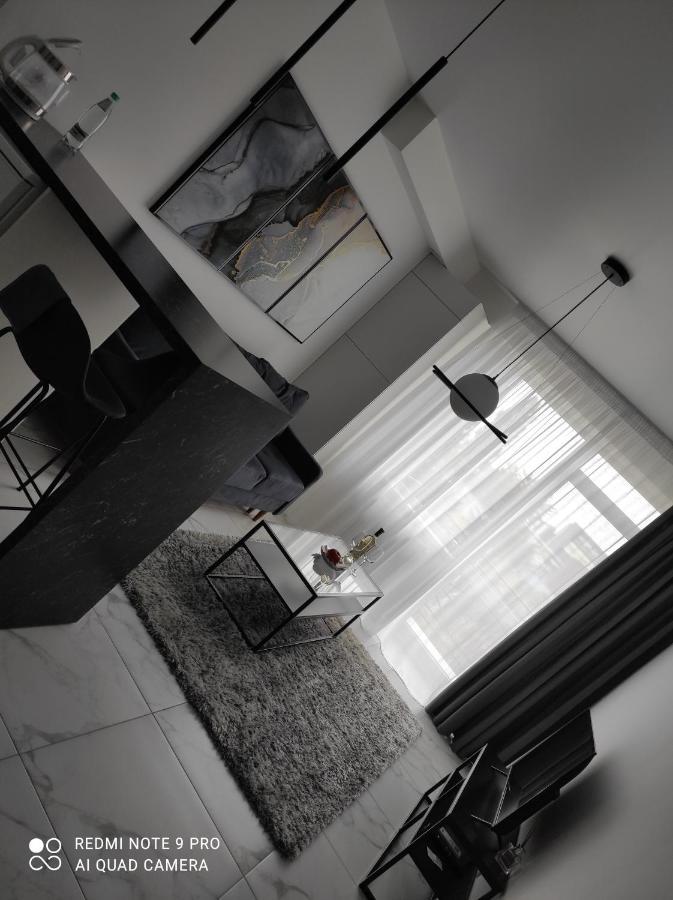 New Modern Apartment Uzjhorod Eksteriør billede