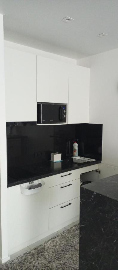 New Modern Apartment Uzjhorod Eksteriør billede