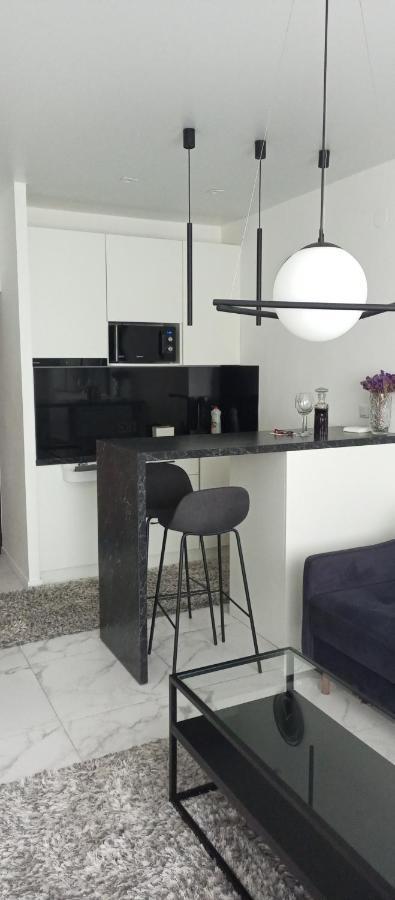 New Modern Apartment Uzjhorod Eksteriør billede