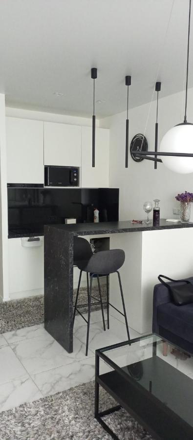 New Modern Apartment Uzjhorod Eksteriør billede